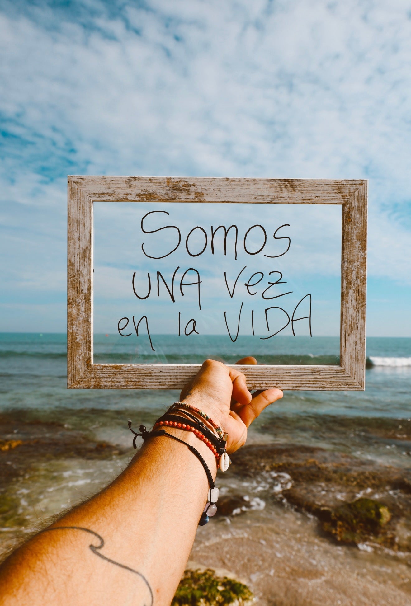 Somos una vez en la Vida ☀️